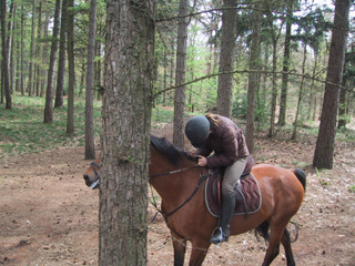 Wie is meer verlegen: Ling of Coco?